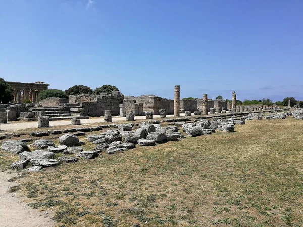 Paestum Salerno Campania Itália Julho 2018 Restos Fórum Romano Parque — Fotografia de Stock