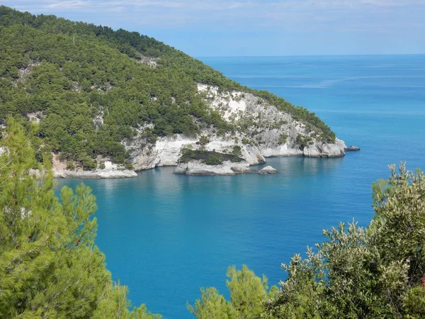 Pugnochiuso Puglia Itália Outubro 2019 Vista Baía Pugnochiuso — Fotografia de Stock