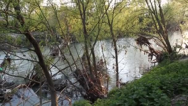 Benevento - Panoramica del Fiume Sabato dalla sponda — Stockvideo