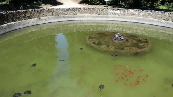 Napoli - Panoramica della fontana nel Real Bosco di Capodimonte — Vídeos de Stock