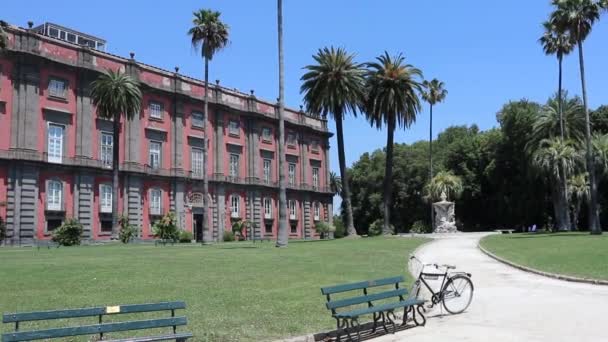 Napoli - Panoramica del Museo di Capodimonte dal Belvedere — Stok video