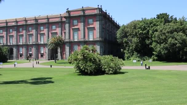 Napoli - Panoramica del Museo di Capodimonte dalla Palazzina Principi — Stok video