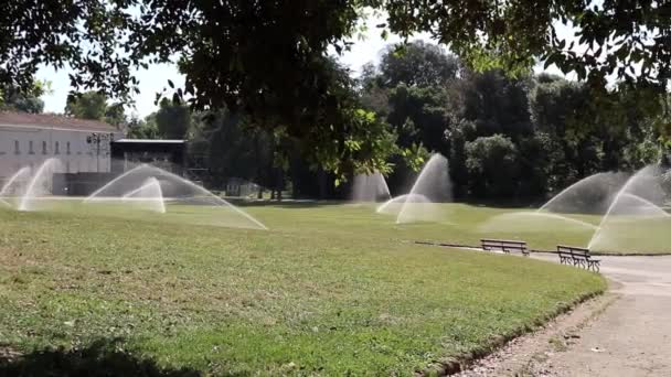 Neapel - Panoramica del prato del Real Bosco di Capodimonte — Stockvideo