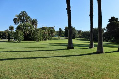 Napoli, Campania, İtalya - 3 Haziran 2021: Real Bosco di Capodimonte 'de Kraliyet Sarayı önünde çimenlik