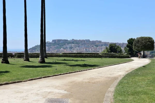 Naples Campania Italy June 2021 Panorama Belvedere Real Bosco Capodimonte — Stock Photo, Image