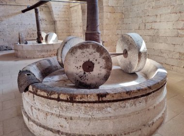 Casalabate, Campania, İtalya 18 Eylül 2025: Santa Maria di Cerrate Manastırı 'ndaki çiftçinin evinin bodrumunda lamba yağı üretildi.