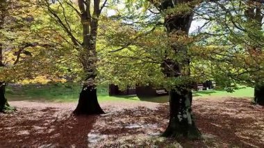 Matese Kalesi, Campania, İtalya 30 Ekim 2025: Matese Gölü, İtalya 'nın en yüksek karst gölü, Miletto Dağı' nın eteklerinde ve La Gallinola Dağı 'nda, Matese Ulusal Parkı' nın bir parçası.