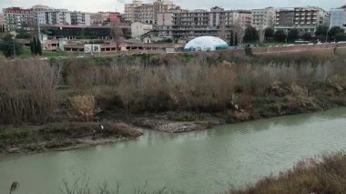 Calore Nehri 'ndeki küçük balıkçıl sürüsü.