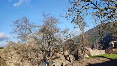 Assisi, Umbria, İtalya 10 Ocak 2026: Rocca Maggiore, 12. yüzyılda inşa edilmiş ve 14. yüzyılın ortalarında Assisi köyü ve Tescio vadisine bakan Colle Asio 'nun tepesinde yeniden inşa edilmiş bir ortaçağ kalesi..