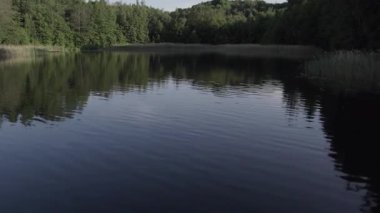 Sakin Göl Yansıması Ormanla Çerçevelenmiş Yoğun Yeşil Çamlar ve Cam Su Yansıtan Ağaçlar ve Yumuşak