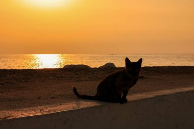 Sabahları denizin üzerinde gün batımı