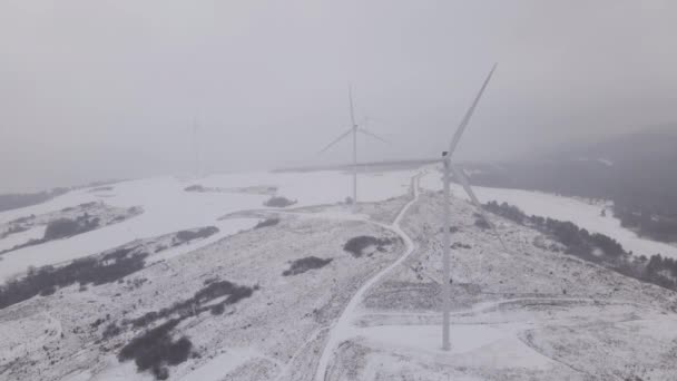 Luftaufnahme eines Windparks im Winter, rotierende Turbinen auf einem verschneiten Feld in der Ukraine — Stockvideo