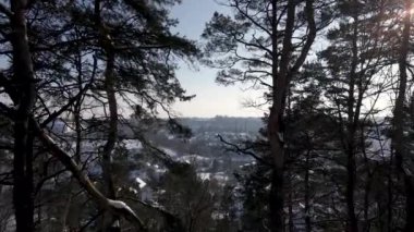 Hava Görünümü, İnsansız Hava Aracı Kış Parkı 'ndaki Ağaçların Arasından Uçuyor, Geçiş Kullanımı
