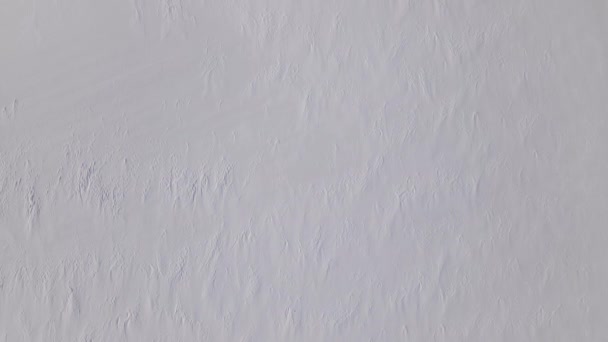 Boven naar beneden LuchtDrone View op een Snowy Field — Stockvideo