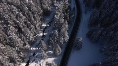 Güneşli Kış Günü 'nde Orman ve Nehir Arasında Yola Çıkan Kamyonun Sinema Üstü Görünümü, Kamyon Hareketi