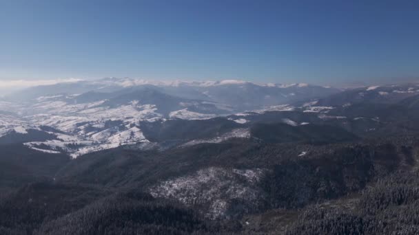 Peisaj scenic al Carpaților de Iarnă Pădure și văi montane, Drone aeriene Vizualizare video 4k — Videoclip de stoc