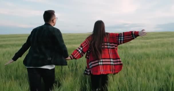 Achteraanzicht van jong stel hebben plezier buiten, meisje met haar vriendje vasthouden door handen en hardlopen in het veld — Stockvideo