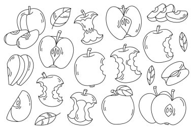 Elle çizilmiş elma seti. Elmalı, dilimli ve yapraklı meyve vektör koleksiyonu. Sonbahar, hasat, çiftçi pazarı, organik gıda, ambalaj ve mevsimsel tasarım için mükemmel.