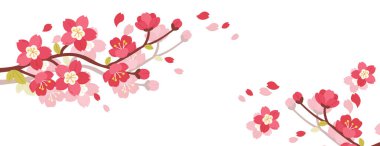 Çiçek açan sakura dalları ve yüzen yapraklarıyla güzel bir bahar arkaplanı. Selamlama, düğün davetiyeleri ve mevsimlik satışlar için fotokopi alanı olan yumuşak çiçekli kompozisyon.