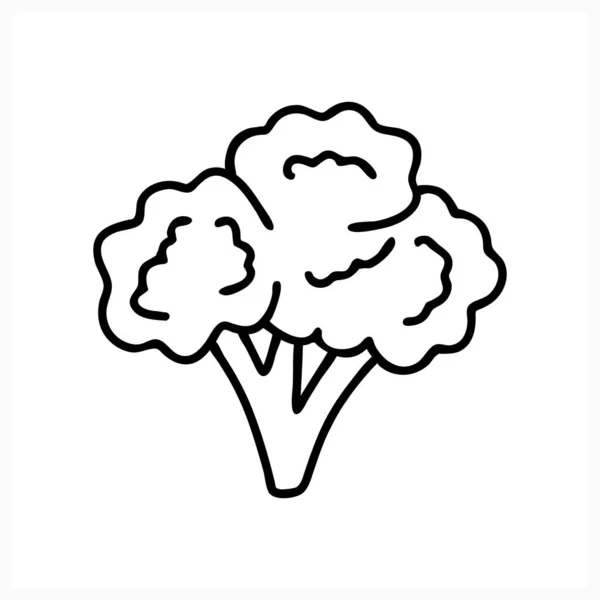 Doodle Broccoli Icoon Geïsoleerd Wit Schets Eten Vector Stock Illustratie — Stockvector