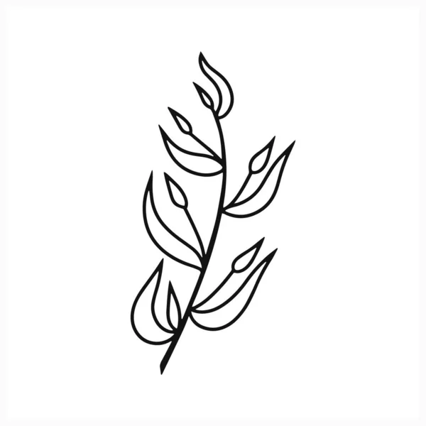 Дудл Ветку Листьями Значок Изолирован Белом Рисунок Векторного Фона Eps — стоковый вектор