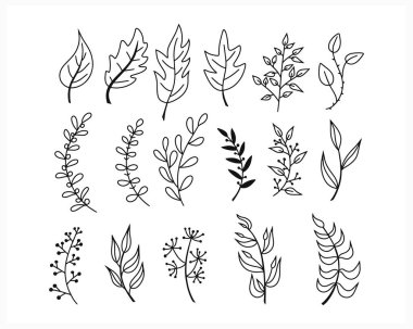 Karalama dalıyla beyaza ayrılmış yaprak simgesi. El çizimi çizimi çizimi. Taslak vektör stok çizimi. EPS 10