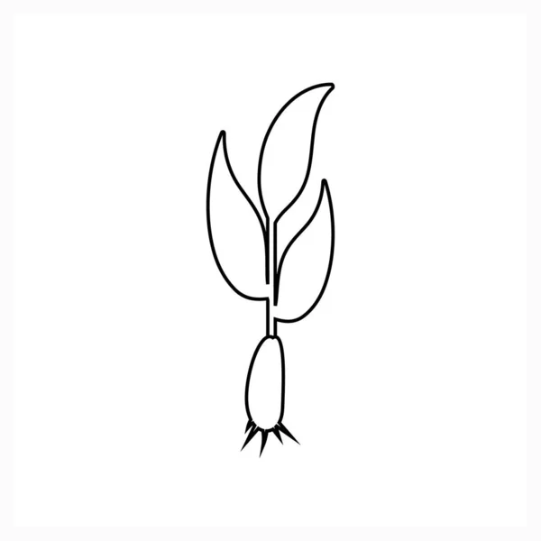 Doodle Plant Met Blad Geïsoleerd Wit Schets Vectorvoorraadillustratie Eps — Stockvector