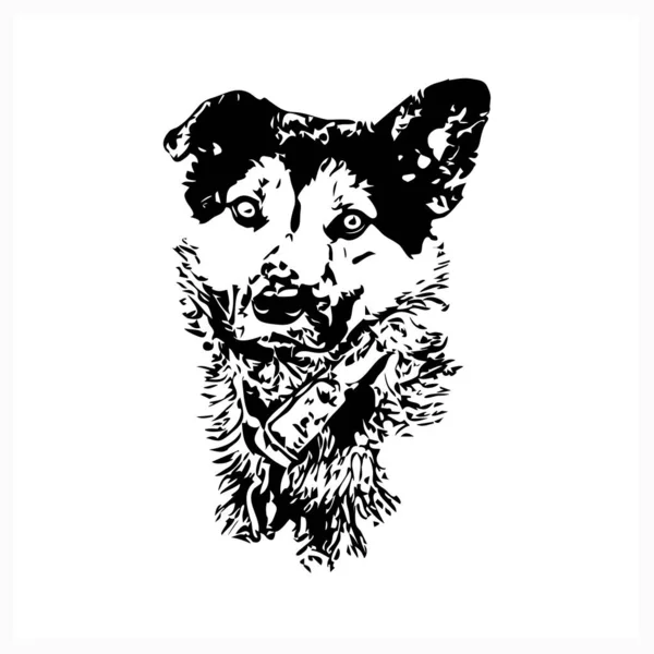 Icono Perro Aislado Blanco Dibujo Vector Stock Ilustración Eps — Archivo Imágenes Vectoriales