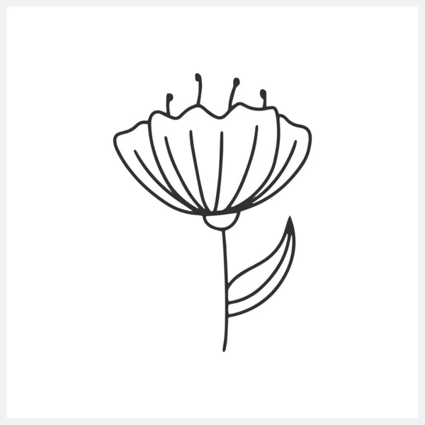 白い葉に隔離された葉でケシをかわす 概要子供手描き花 ラインアートベクトルストックイラスト Eps — ストックベクタ