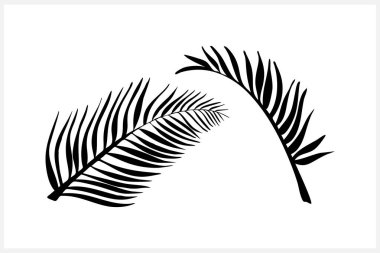 Palmiye yaprakları beyaz üzerine izole edilmiş simgeler. Şablon yaprakları. Doğal koleksiyon. Vektör hisse senedi çizimi. EPS 10