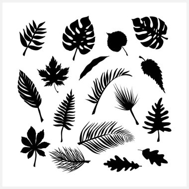 Karalama yaprağı simgeleri beyaza izole edilmiş. Şablon yaprakları. Vektör hisse senedi çizimi. EPS 10