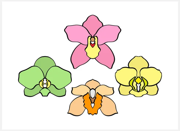 朵朵兰花图标 手绘草图花矢量种群图解 Eps — 图库矢量图片