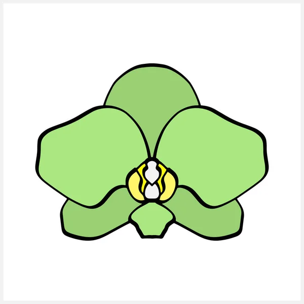 Значок Орхидеи Каракули Изолирован Белом Ручной Клипарт Иллюстрация Векторных Цветов — стоковый вектор