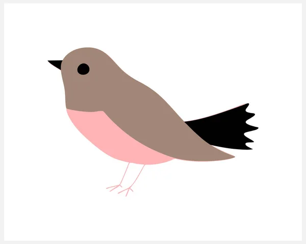 Doodle Bird Clipart Izolowane Białym Kreskówkowe Zwierzę Ilustracja Wektora Eps — Wektor stockowy