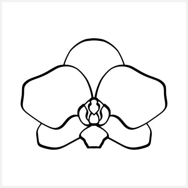 Εικονίδιο Ορχιδέας Που Απομονώνεται Στο Λευκό Χειροποίητο Σκίτσο Λουλούδι Χρωματίζοντας — Διανυσματικό Αρχείο