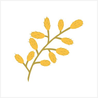 Doodle söğüt dalının zirvesi beyazda izole edilmiş. El çizimi sanat. Çiçek çizgi filmi. Vektör hisse senedi çizimi. EPS 10