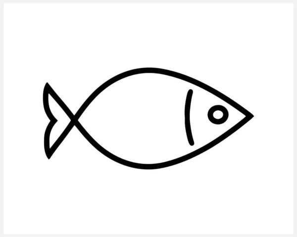 Summer Icon Fish Isolated White Sketch Animal Vector Stock Illustration — Stock Vector