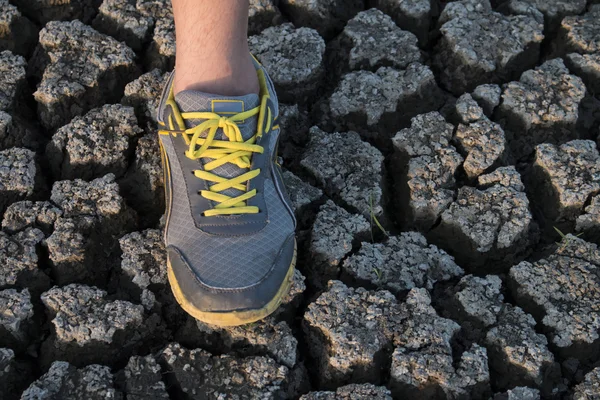 Sport shoe on dry cracked land background