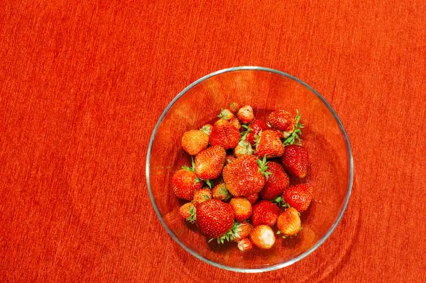 Fresh strawberries from the garden — Stock Photo, Image