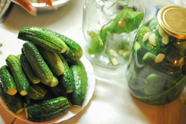 People are preparing in the kitchen. pickling cucumbers, preparation for winter salting. — Stock Photo, Image