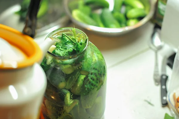 People are preparing in the kitchen. pickling cucumbers, preparation for winter salting. — Stock Photo, Image