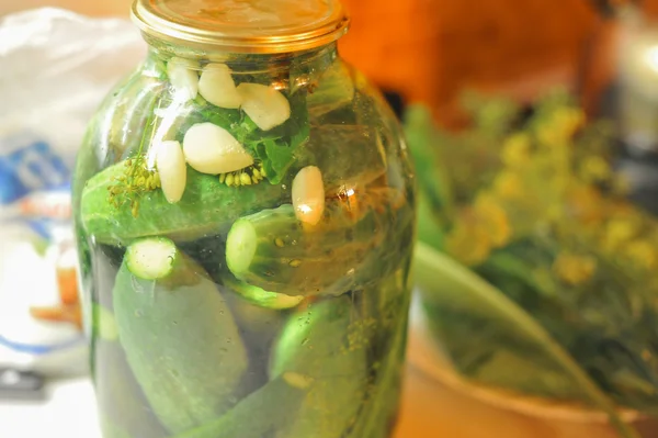 People are preparing in the kitchen. pickling cucumbers, preparation for winter salting. — Stock Photo, Image