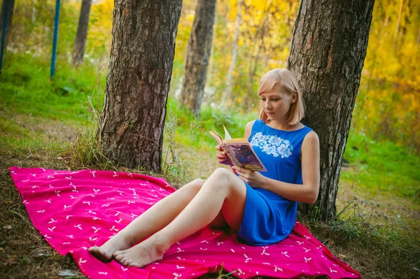 松の森の真ん中に本を読んで緑の草の上に赤い毛布の上に座っている青いドレスの金髪少女 — ストック写真