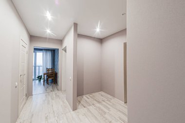 Rusya, Moskova... 29 Nisan 2020: İç mekan dairesi modern, parlak, rahat atmosfer. Genel temizlik, ev dekorasyonu, satılık ev hazırlığı. oda kapıları, yenileme koridoru lobi girişi