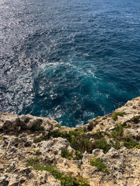 Beyaz Akdeniz evi ve mavi gökyüzü arka planına sahip tropik kaktüs bitkisi. Yeşillik ve mimari ile İspanyol yaz manzarası