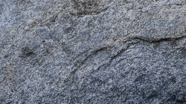 Sert, yıpranmış kaya yüzeyine yakın granit ya da benzer bir volkanik kaya. Yüzeyde görülebilir çatlaklar ve küçük mineral taneleri ile gri ve açık kahverengi renklerin bir karışımı yer almaktadır. 