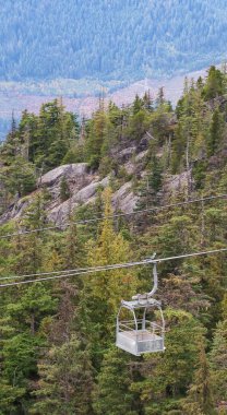 Sea To Sky Gondola, Squamish, British Columbia, Kanada - 9 Ekim 2025: Tepedeki bakım kablosu arabasının dikey fotoğrafı