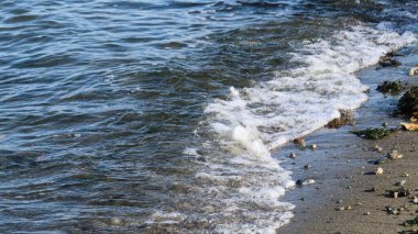 Yumuşak dalgalar çakıllı bir sahil şeridine çarpar ve koyu, ıslak kumu öpen narin beyaz köpük oluşturur. Gündüz vakti dalgalanan suda güneş ışığı dans eder.