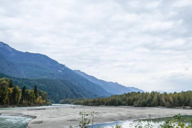 Eagle Run, Squamish, British Columbia, Kanada... Güz zamanı gölü olan bir kartalı gözlemlemek için 1,3 mil açık alan yolu.