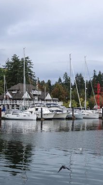 Vancouver Kürek Kulübü binası, Stanley Park, Vancouver, Kanada - 2 Ekim 2025: Bulutlu bir günde binayı beyaz ahşap güverte ve yat gemisiyle çevreleyen marina deniz gölü